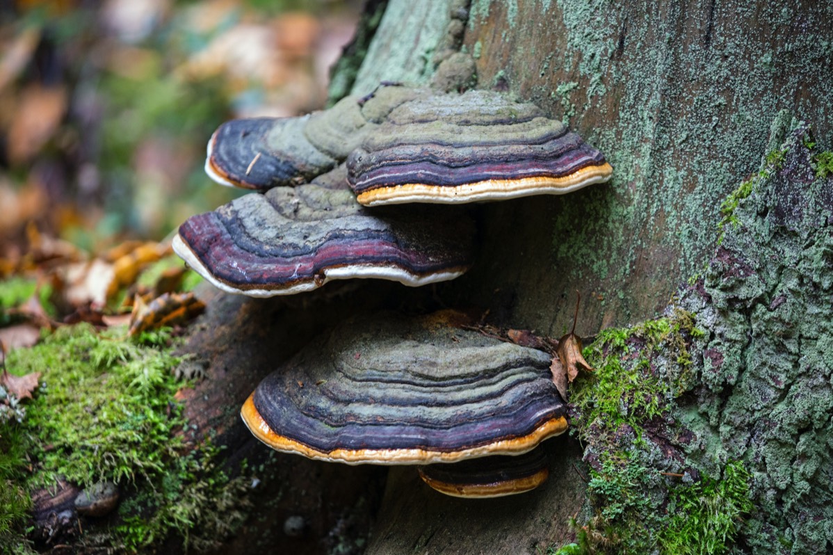 Stacks Image 17